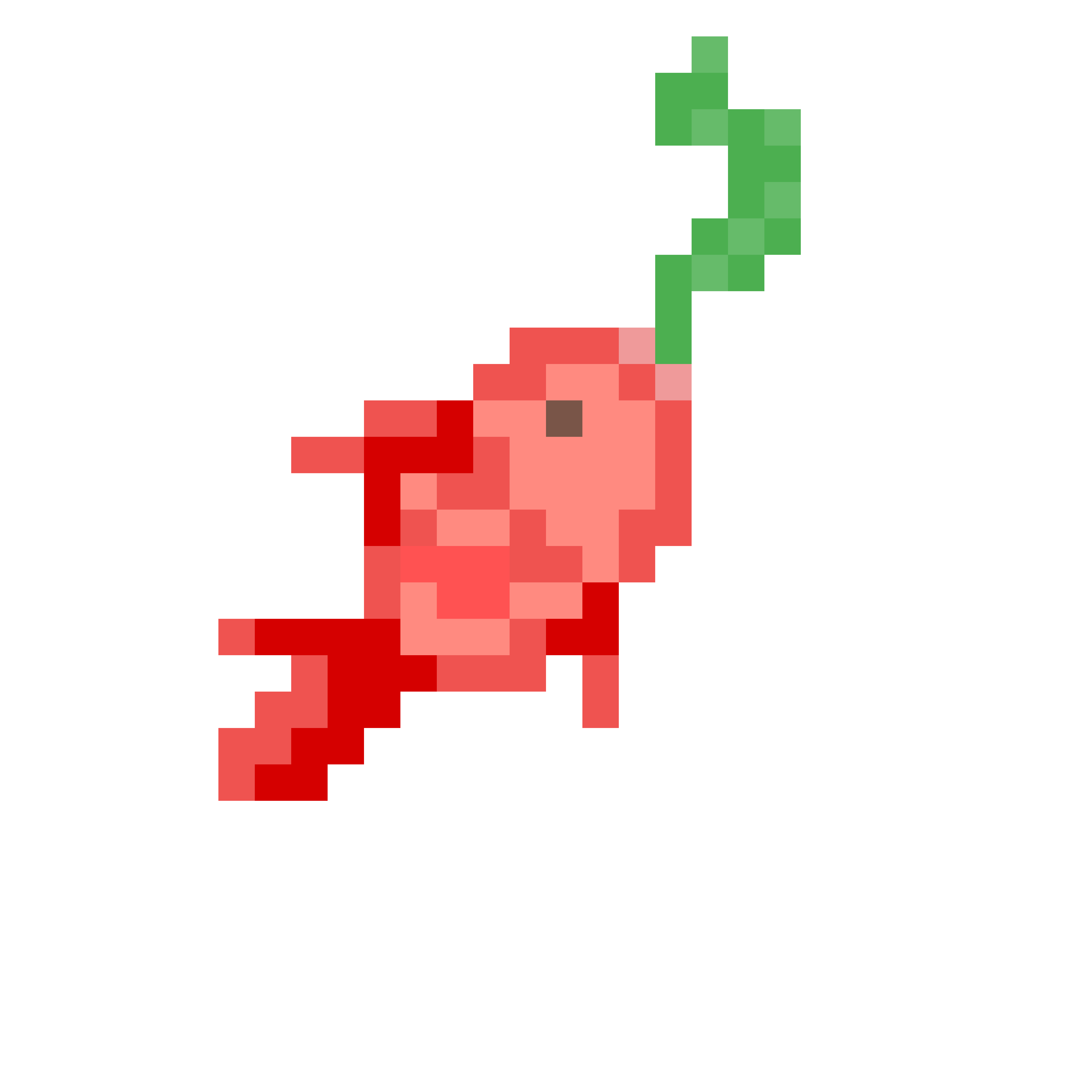 Red koi berry